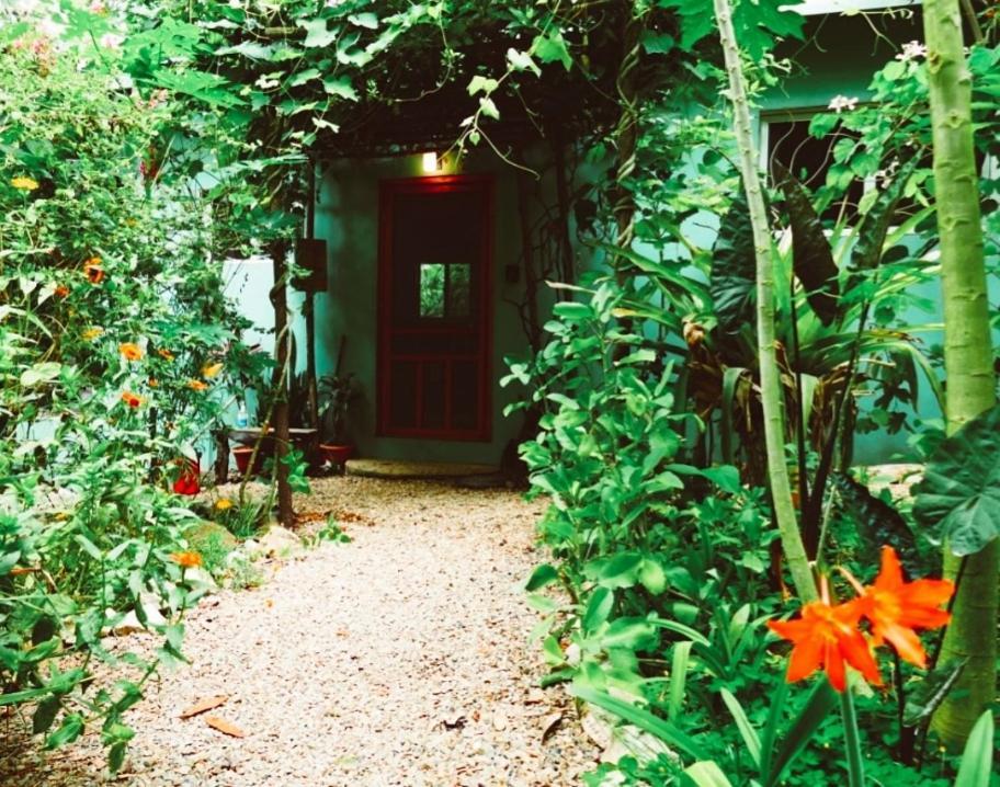 Alma Del Rio Eco-Comfort On The Water ซานอิกนาซิโอ ภายนอก รูปภาพ
