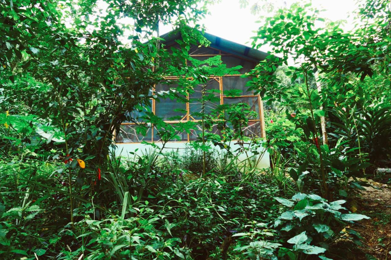 Alma Del Rio Eco-Comfort On The Water ซานอิกนาซิโอ ภายนอก รูปภาพ
